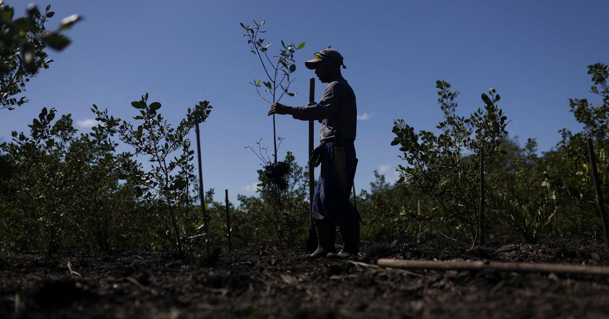 Comment: Why Europe’s new reporting standards could be a game-changer for nature