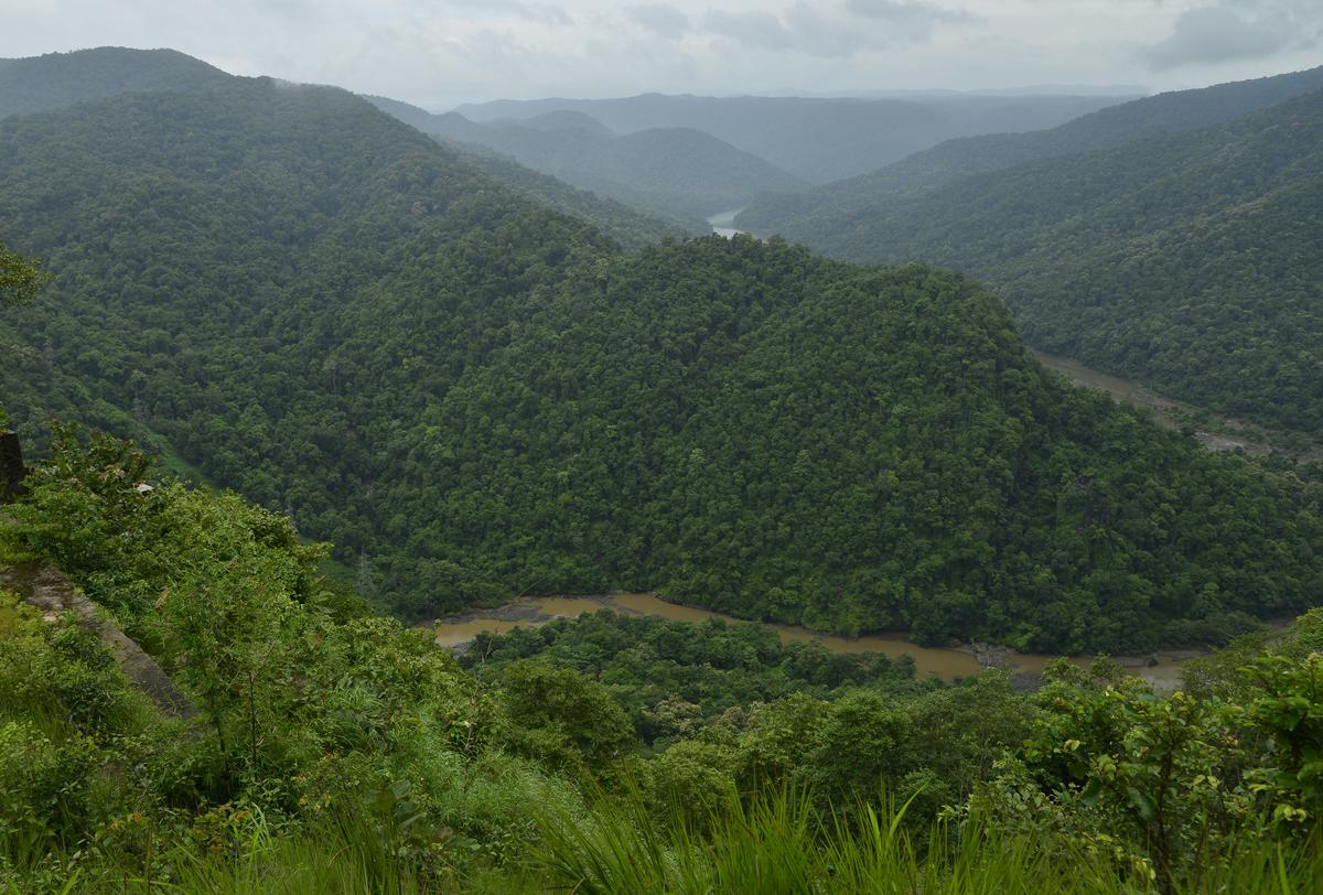 63 retired IFS officers from across India write to Centre on misuse of Forest Rights Act