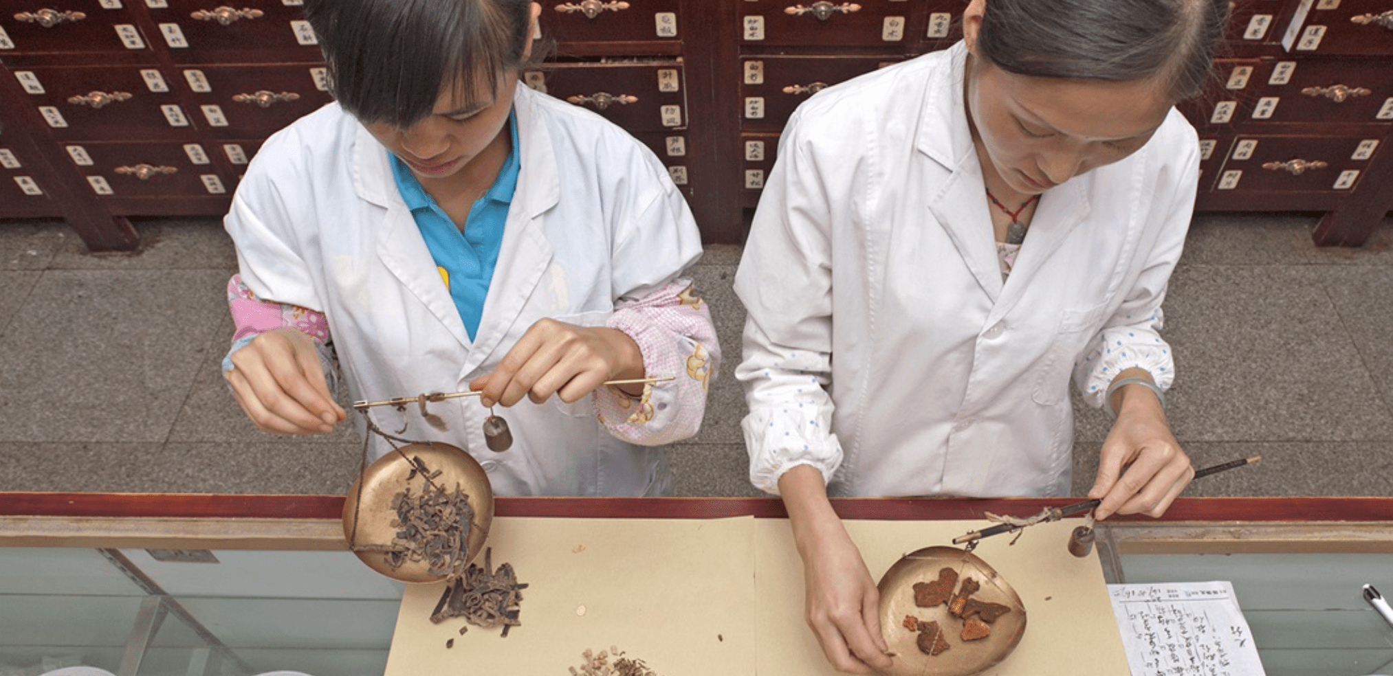 India Hosts Global Summit To Explore Evidence Base For Traditional Medicine